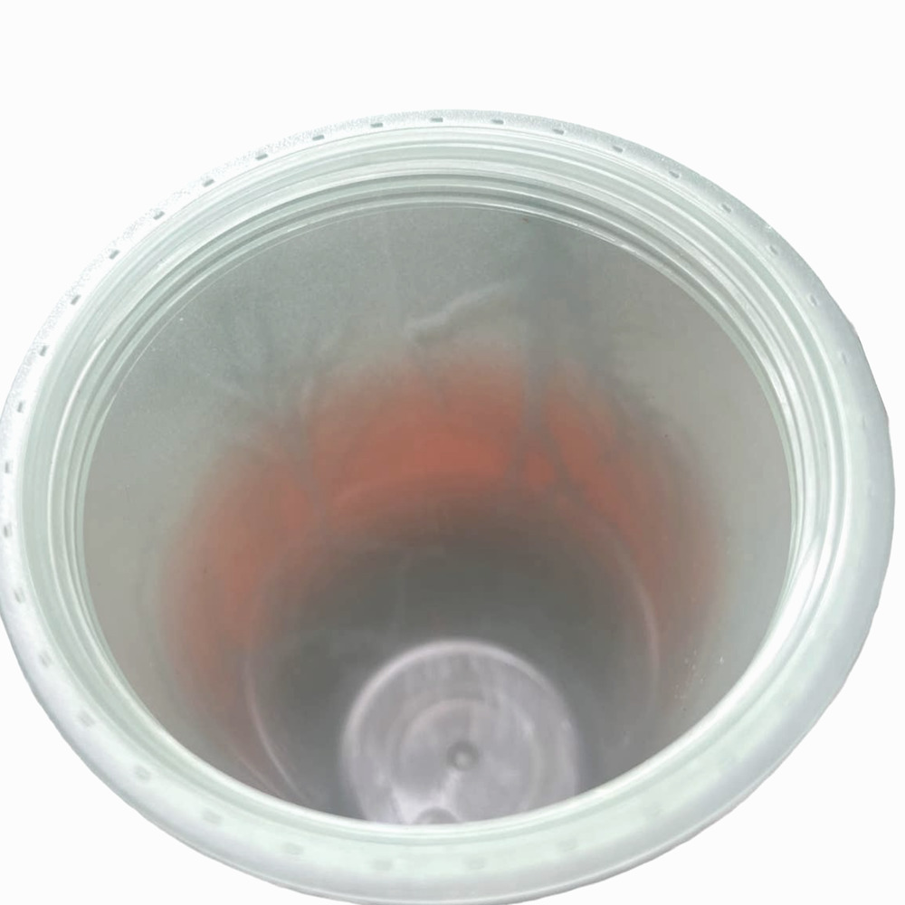 Starbucks RAVEN'S PERCH 2022 Halloween 16 oz Cold Cup *Glow in the Dark* - Picture 7 of 13